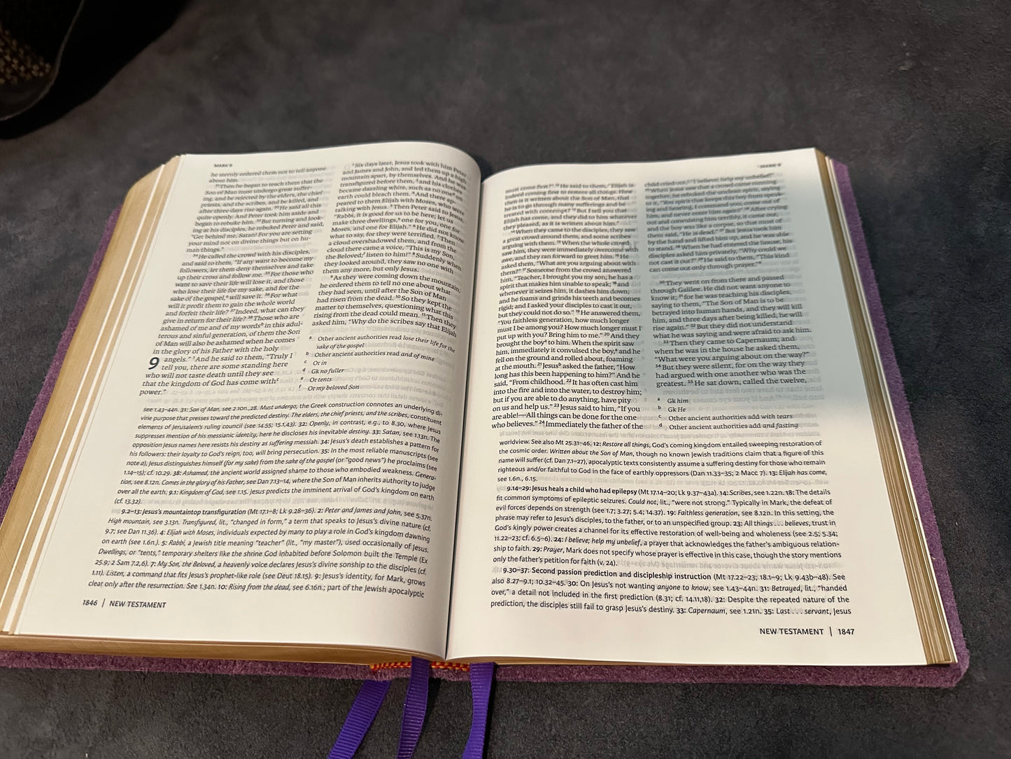 NRSV ANNOTATED PURPLE LEATHER