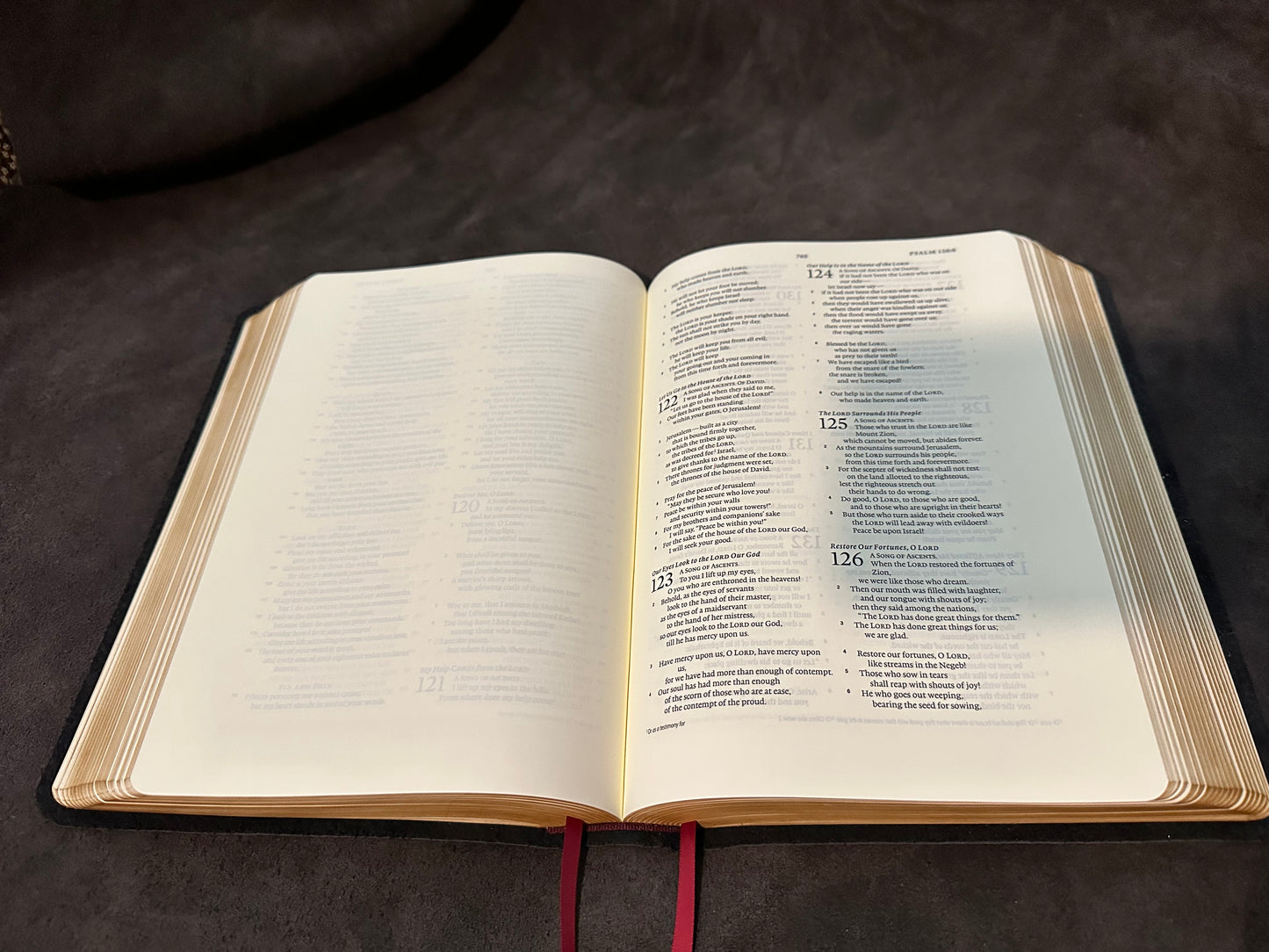 ESV journaling bible interleaved edition English Standard Version Wide Margin