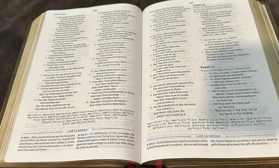 charles stanley life principles bible nasb New American Standard Leather Study