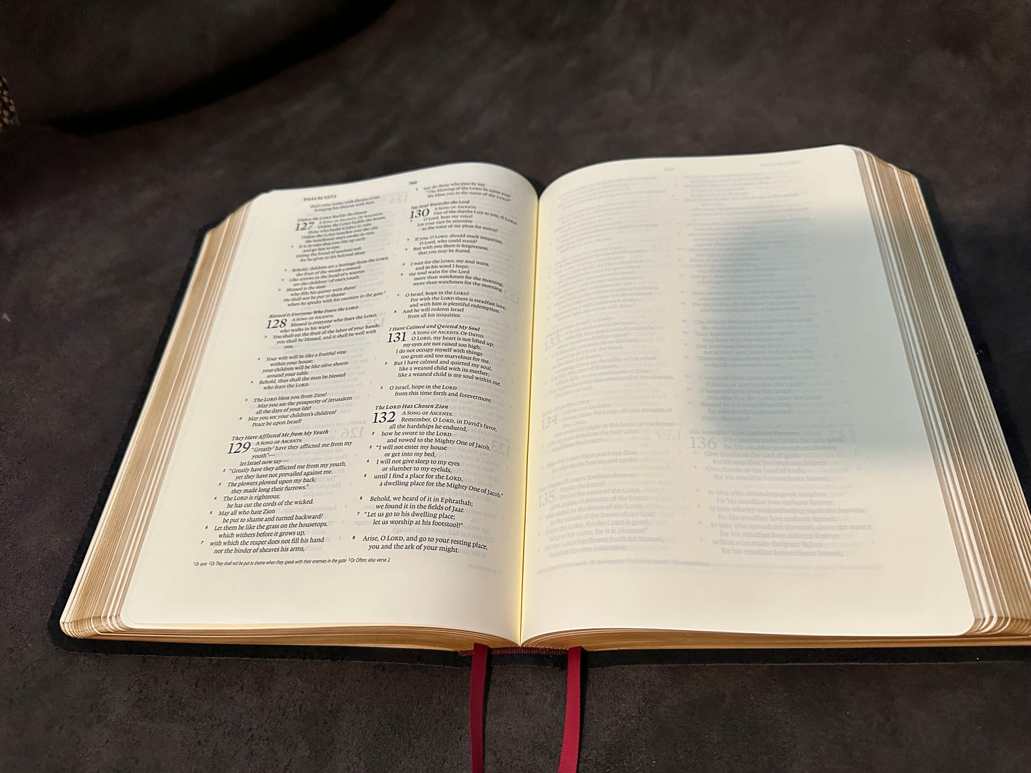 ESV journaling bible interleaved edition English Standard Version Wide Margin