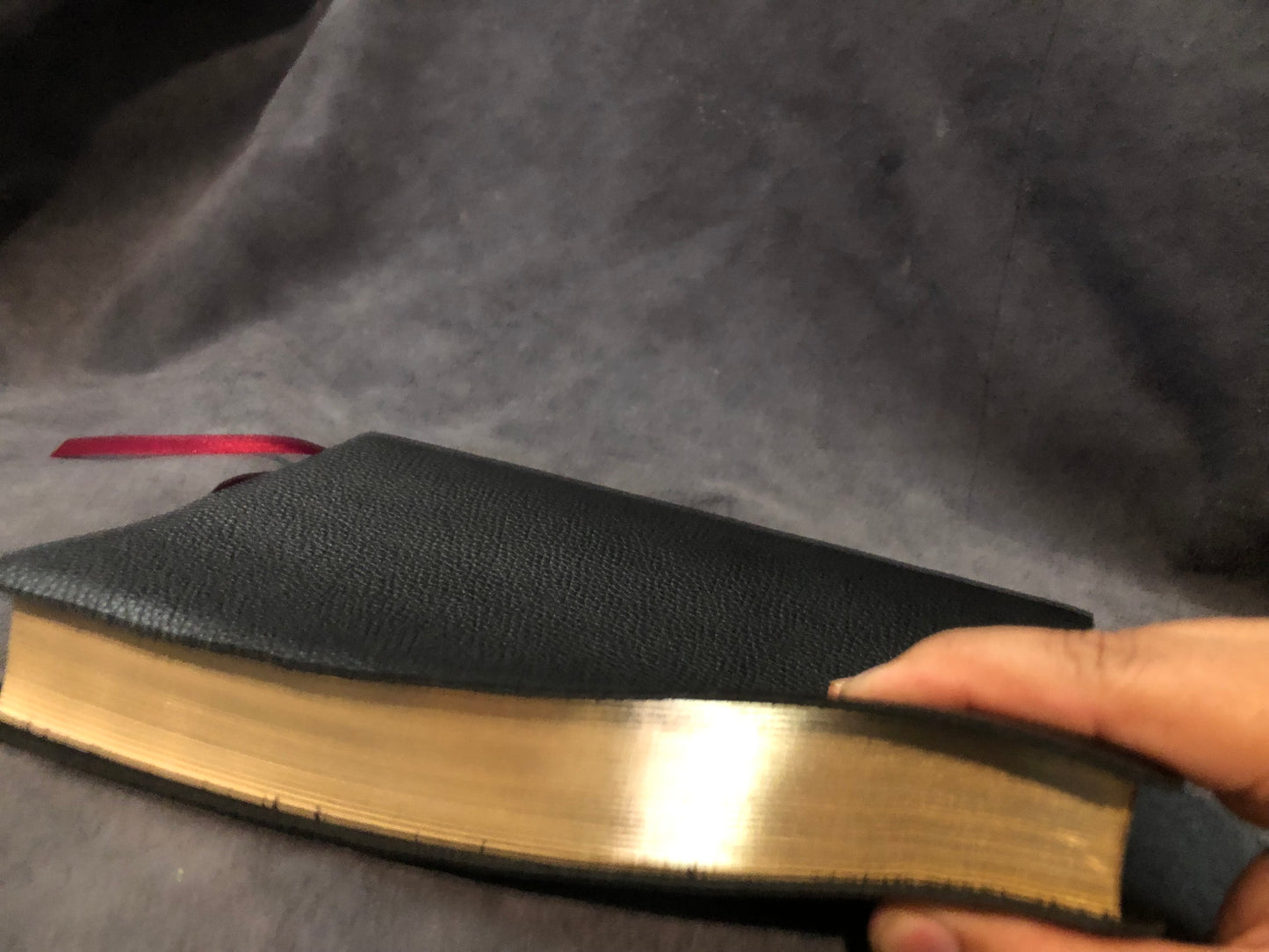 NASB 2020 Reference Bible Large Print Black Leather New American Standard