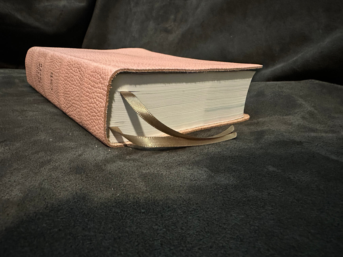 Csb she reads truth pink leather