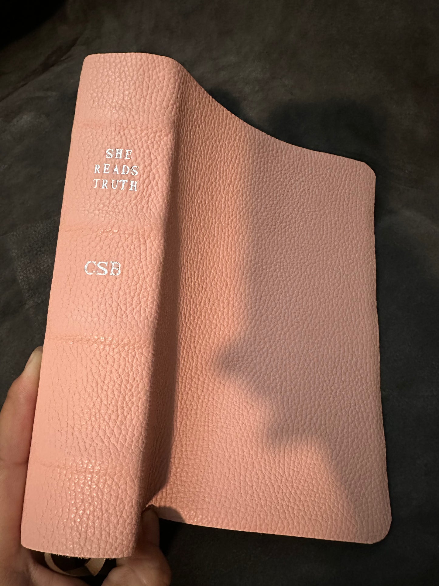 Csb she reads truth pink leather