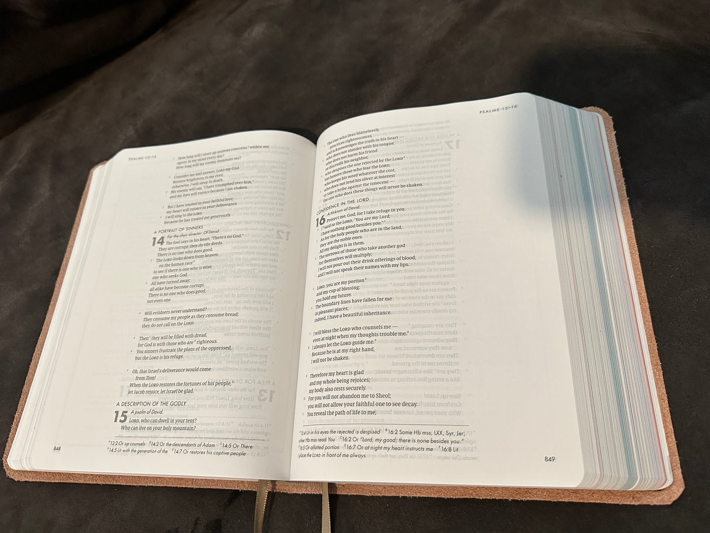 Csb she reads truth pink leather