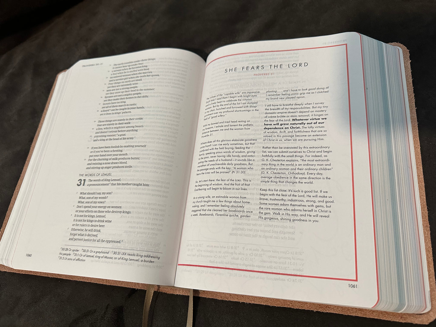 Csb she reads truth pink leather