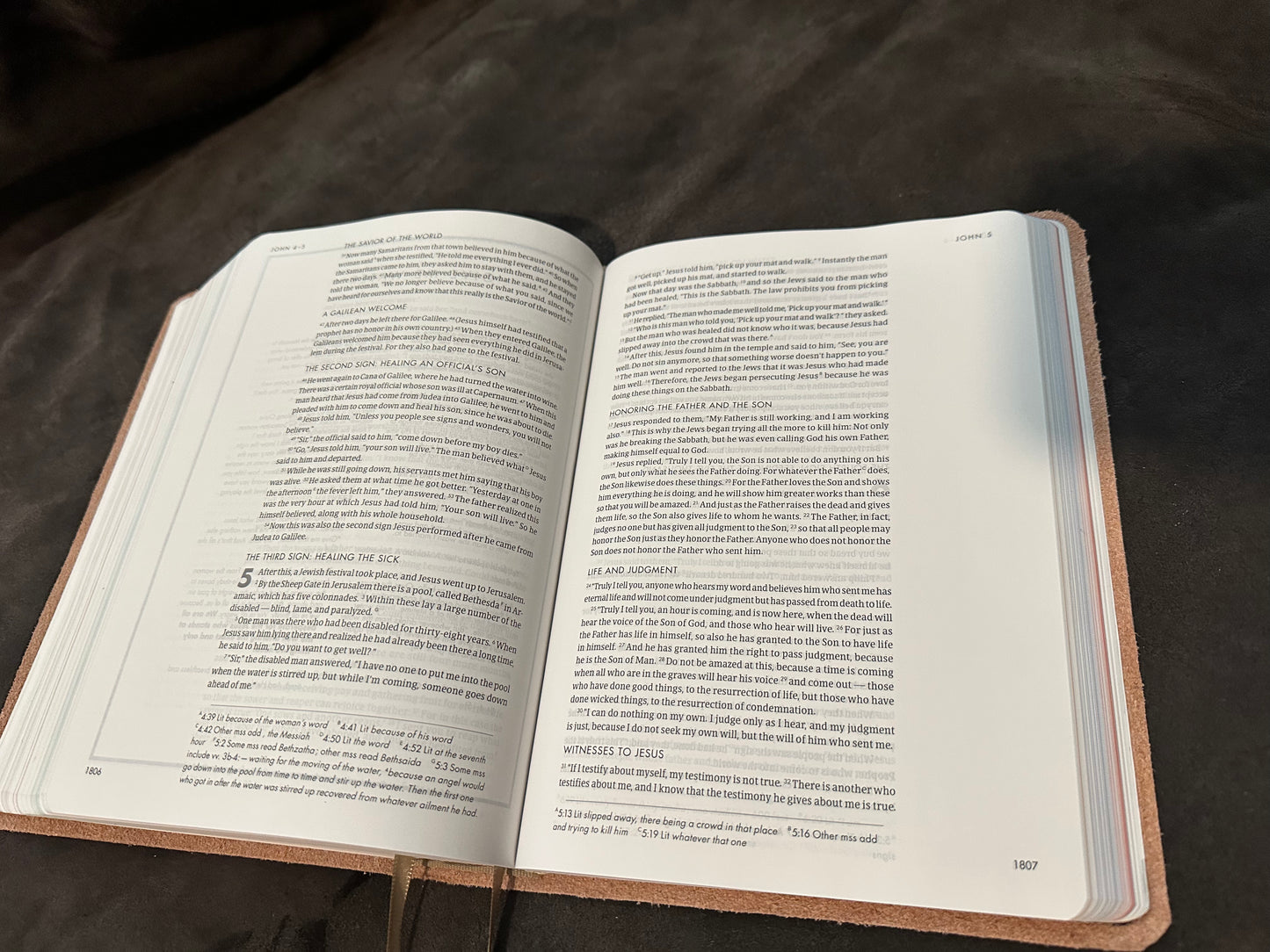 Csb she reads truth pink leather