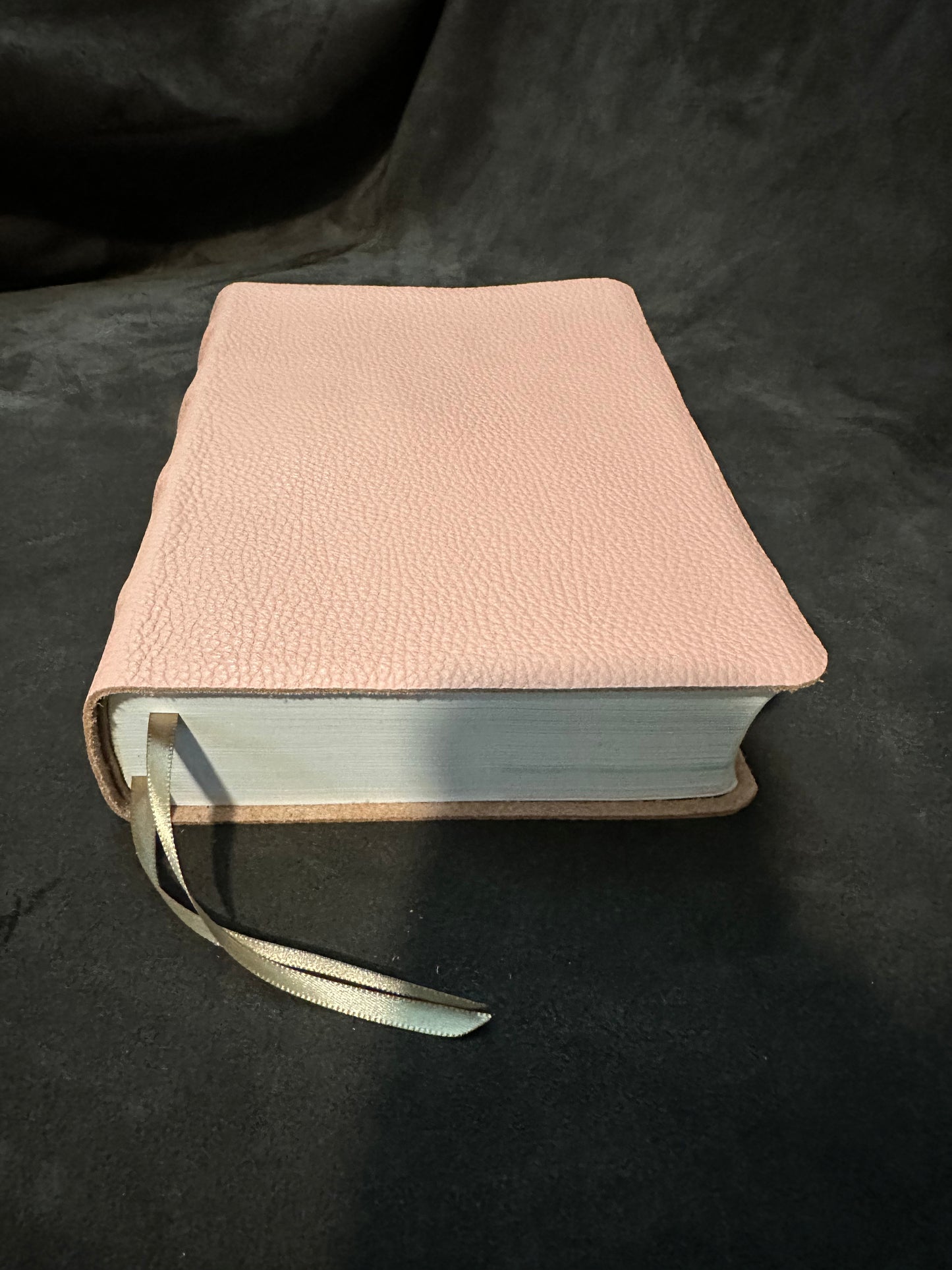 Csb she reads truth pink leather