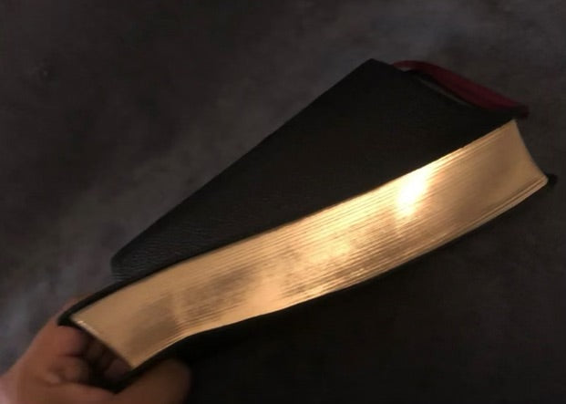 ESV verse By verse reference Bible