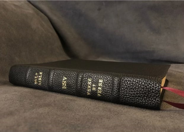 ESV verse By verse reference Bible