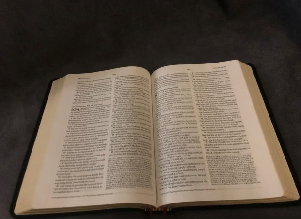 ESV verse By verse reference Bible