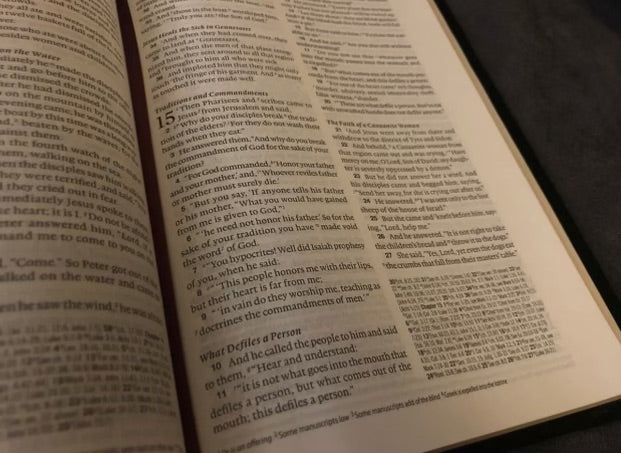 ESV verse By verse reference Bible
