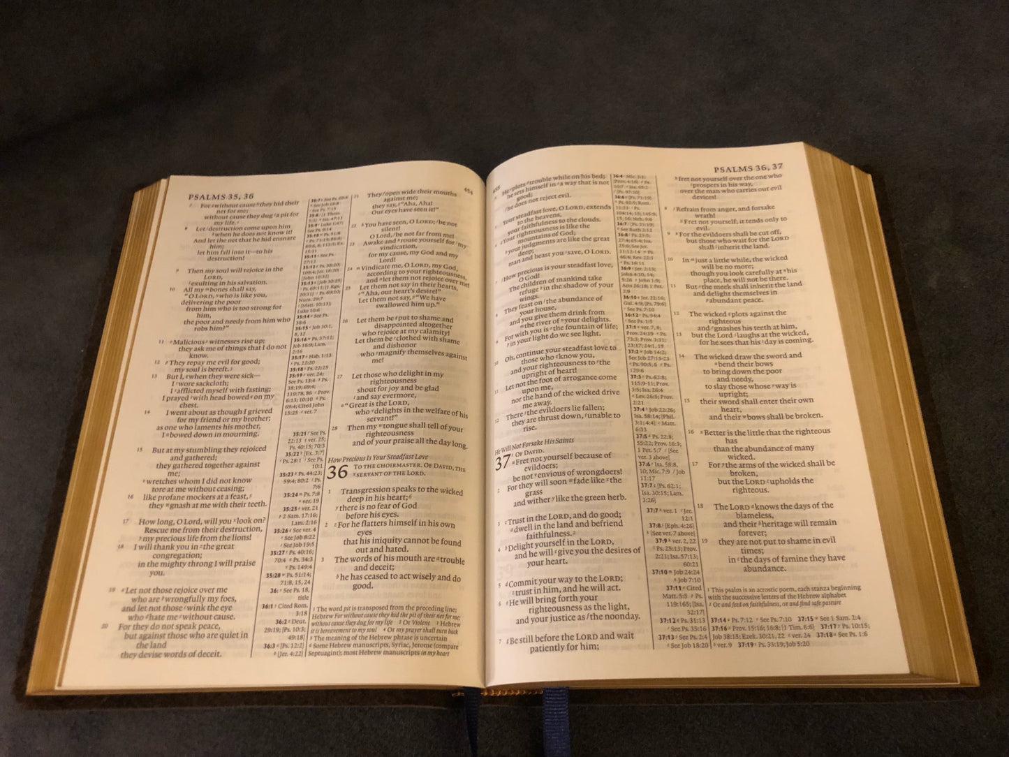 Cambridge Diadem ESV ENGLISH STANDARD VERSION BIBLE with Apocrypha Leather