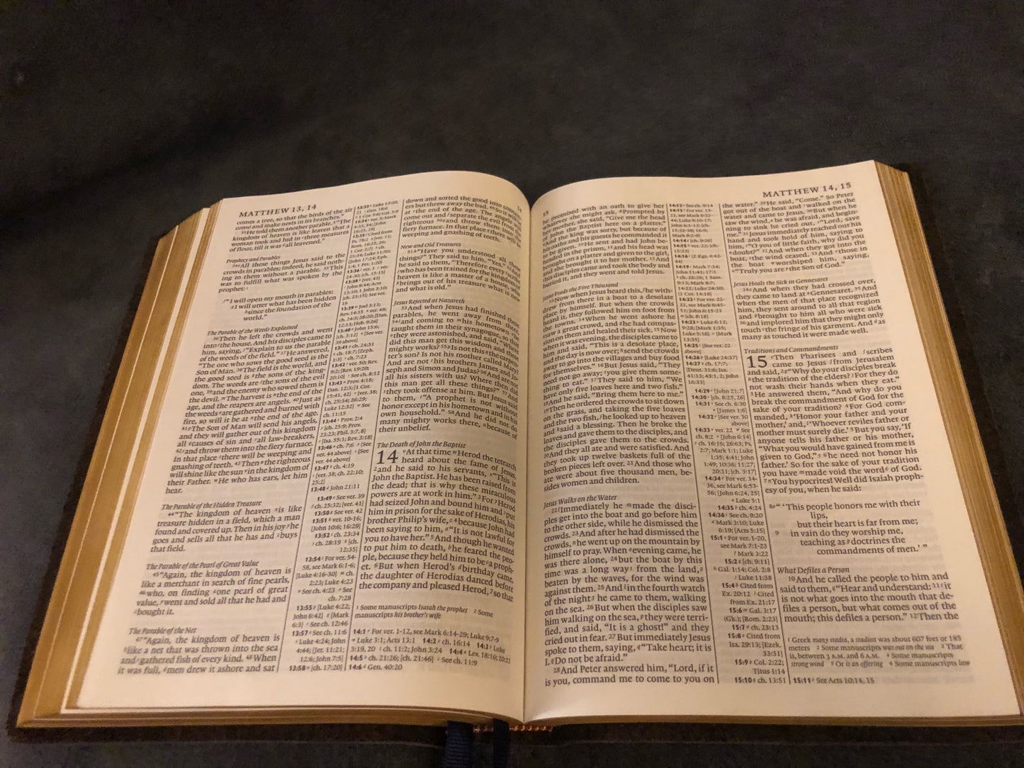 Cambridge Diadem ESV ENGLISH STANDARD VERSION BIBLE with Apocrypha Leather