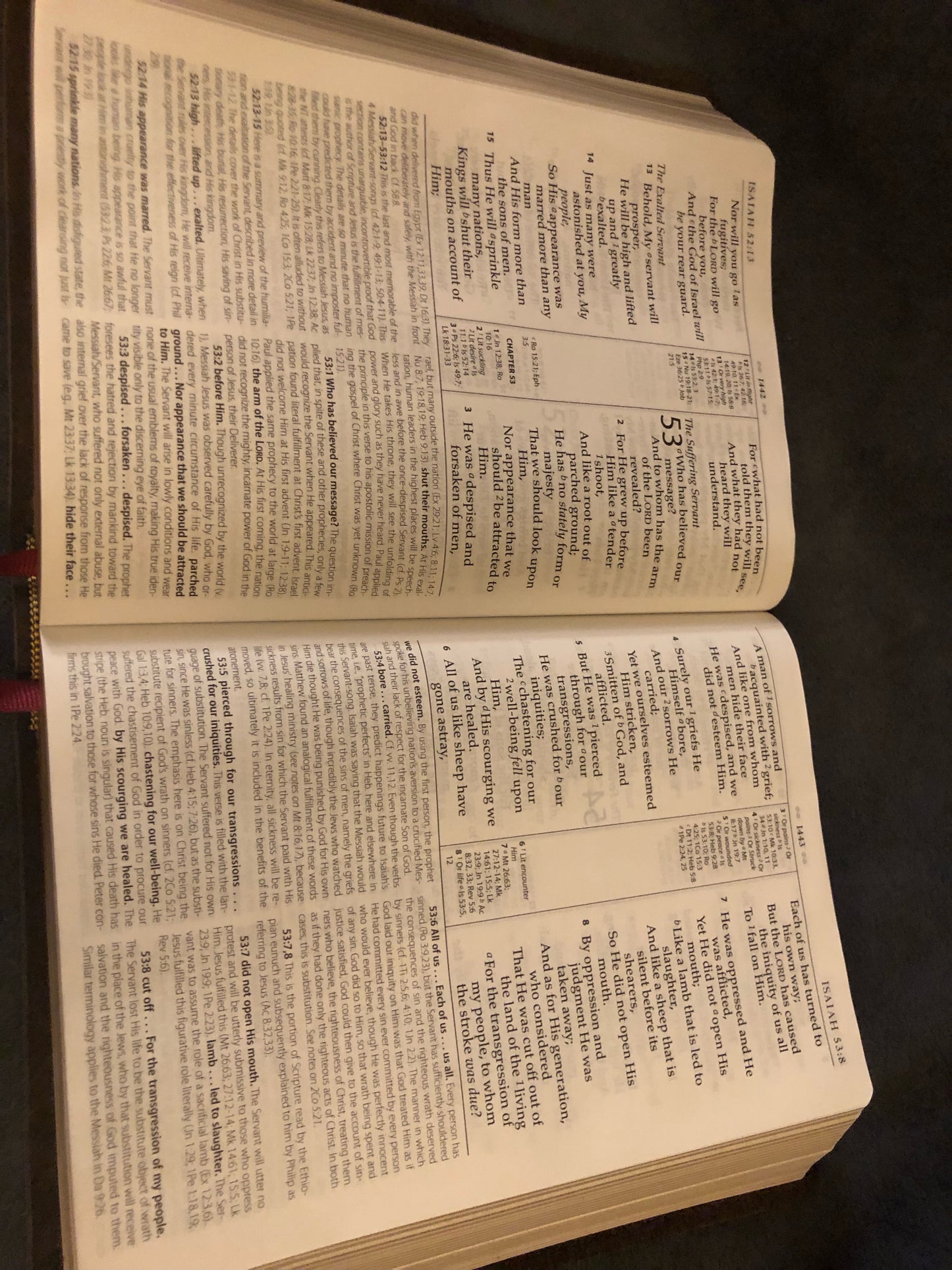 NASB MACARTHUR STUDY BIBLE LARGE PRINT
