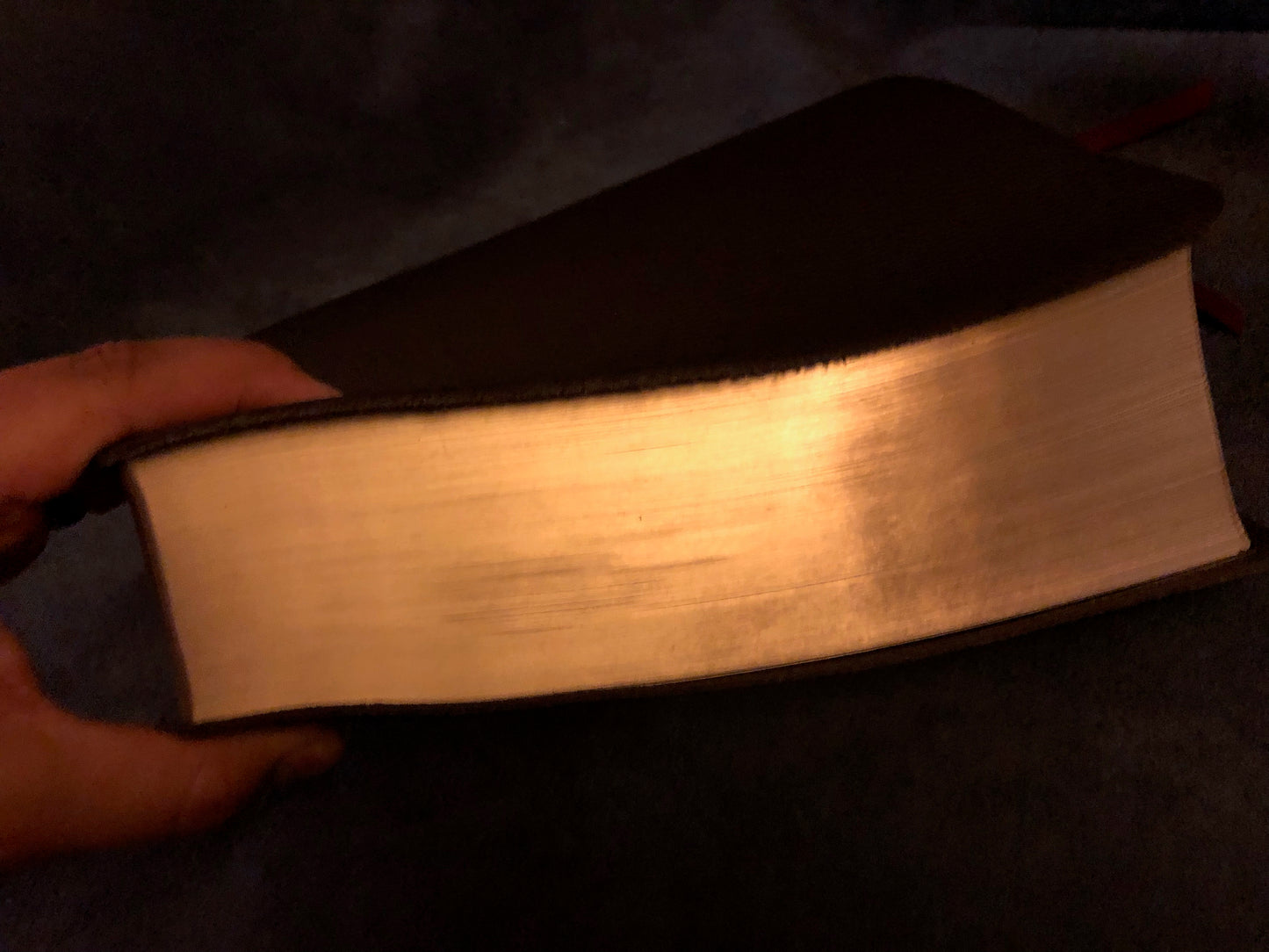 NASB MACARTHUR STUDY BIBLE LARGE PRINT