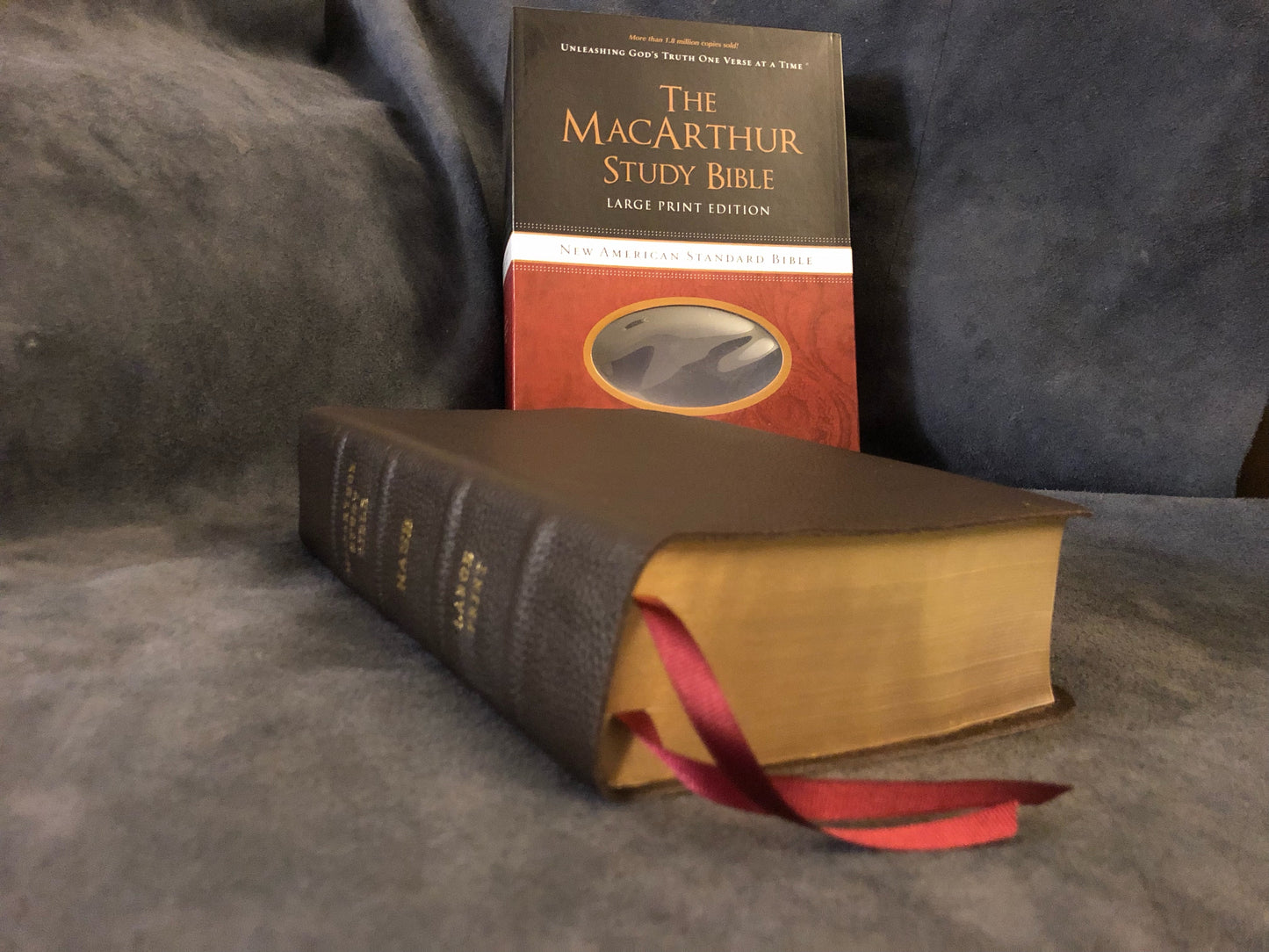 NASB MACARTHUR STUDY BIBLE LARGE PRINT