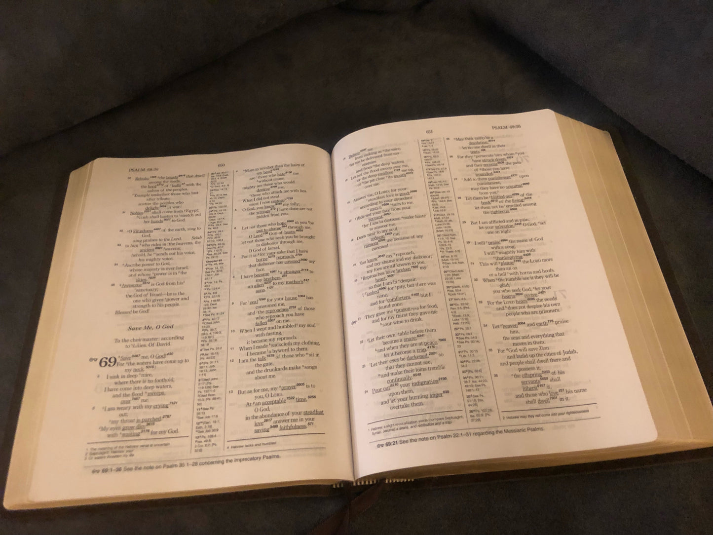 ESV KEYWORD STUDY BIBLE