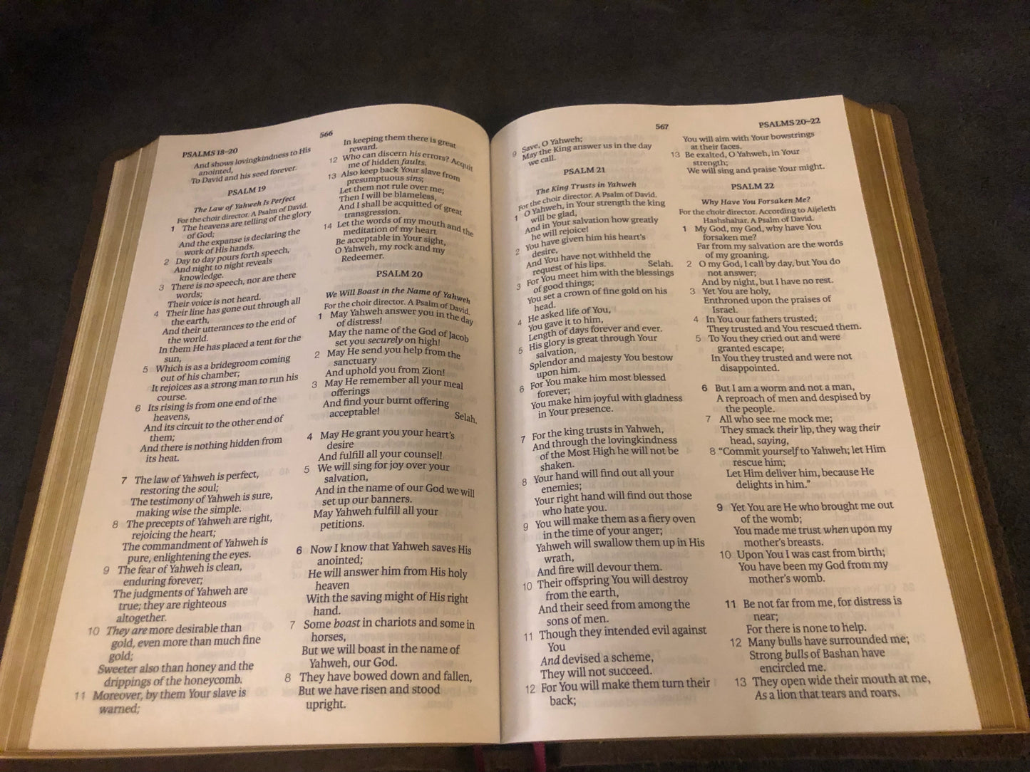 Legacy standard Bible LSB BROWN LEATHER 2 Double Column Verse By Verse