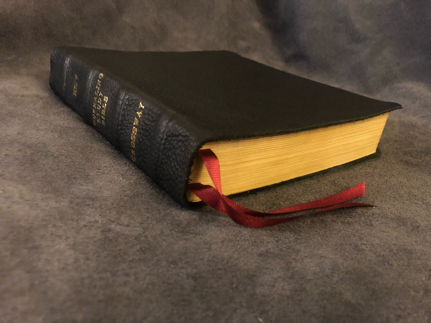 ESV ENGLISH STANDARD VERSION Journaling Study Bible English Standard Version