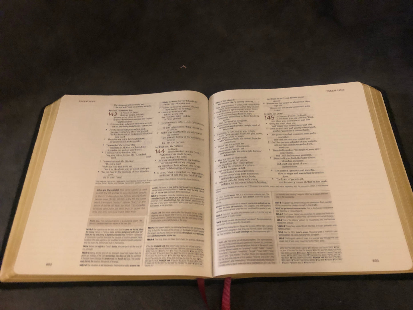 ESV ENGLISH STANDARD VERSION Journaling Study Bible English Standard Version