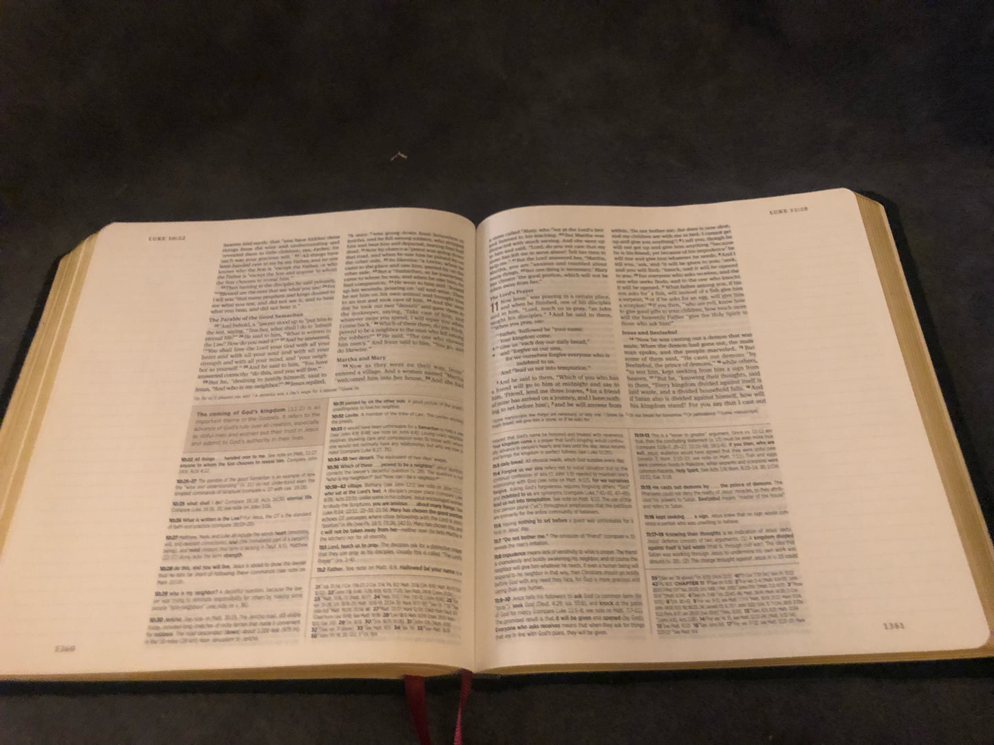 ESV ENGLISH STANDARD VERSION Journaling Study Bible English Standard Version