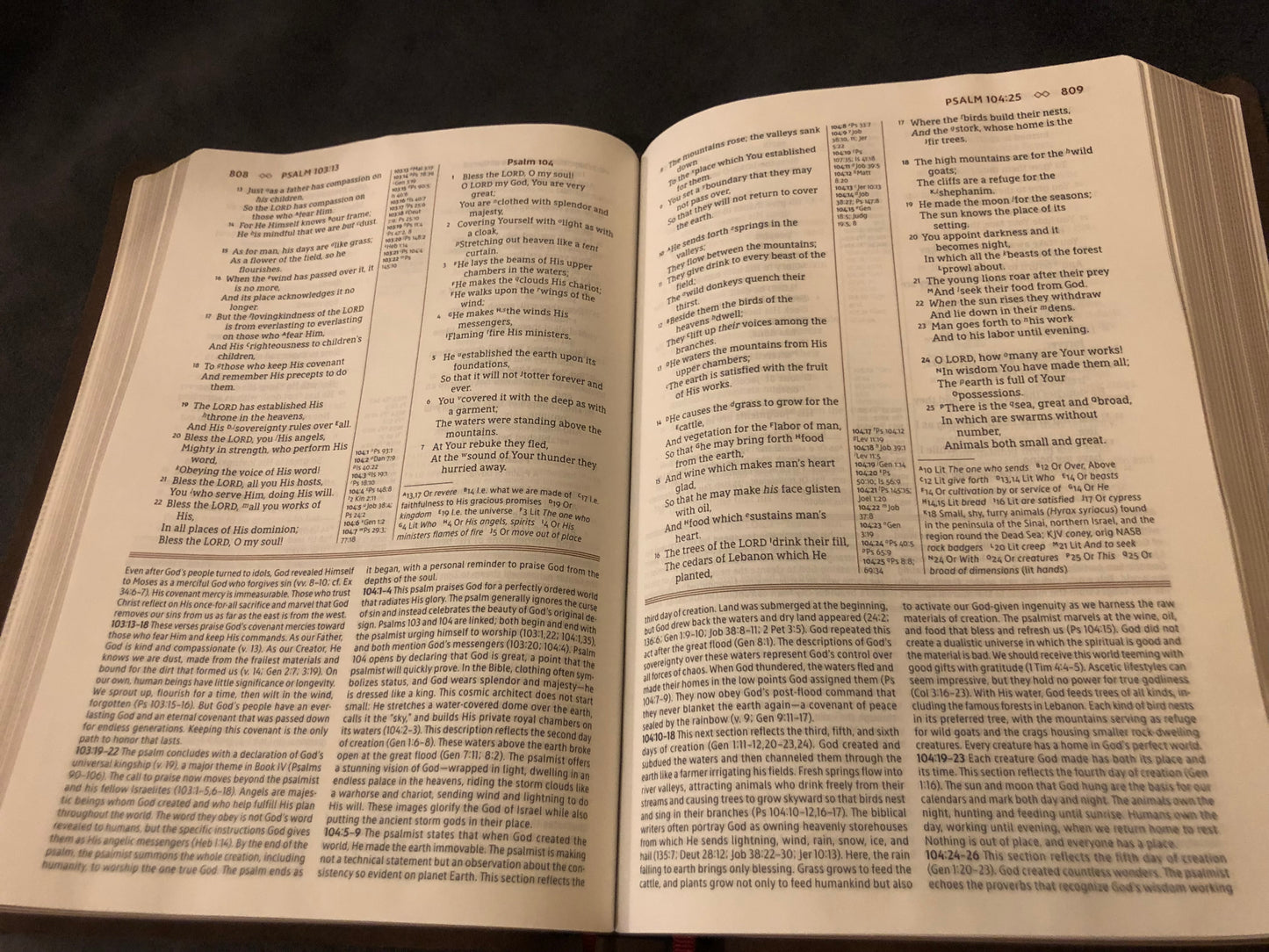 NASB LARGE PRINT GRACE and TRUTH study Bible