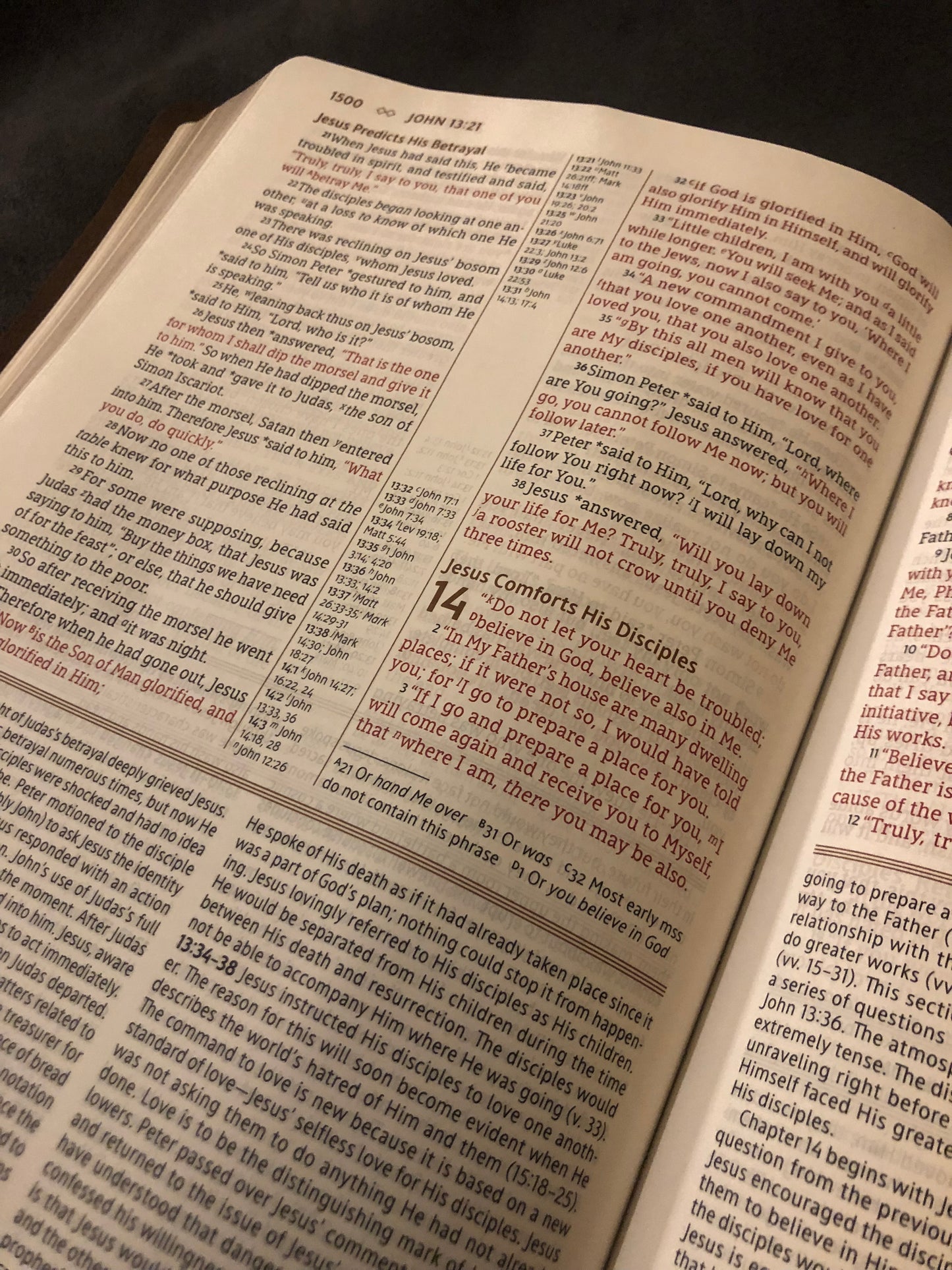 NASB LARGE PRINT GRACE and TRUTH study Bible