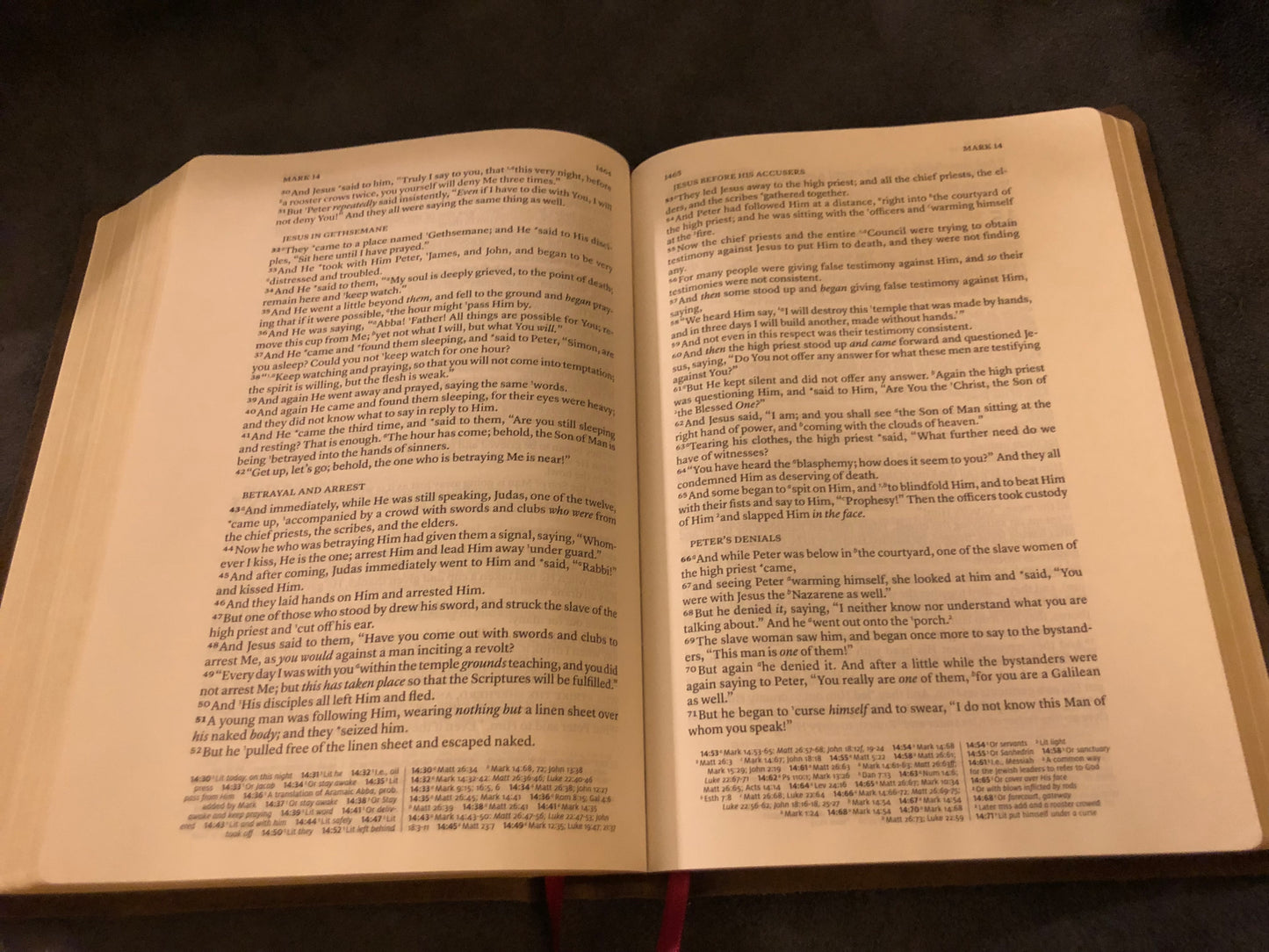 NASB 2020 Wide Margin Reference Bible