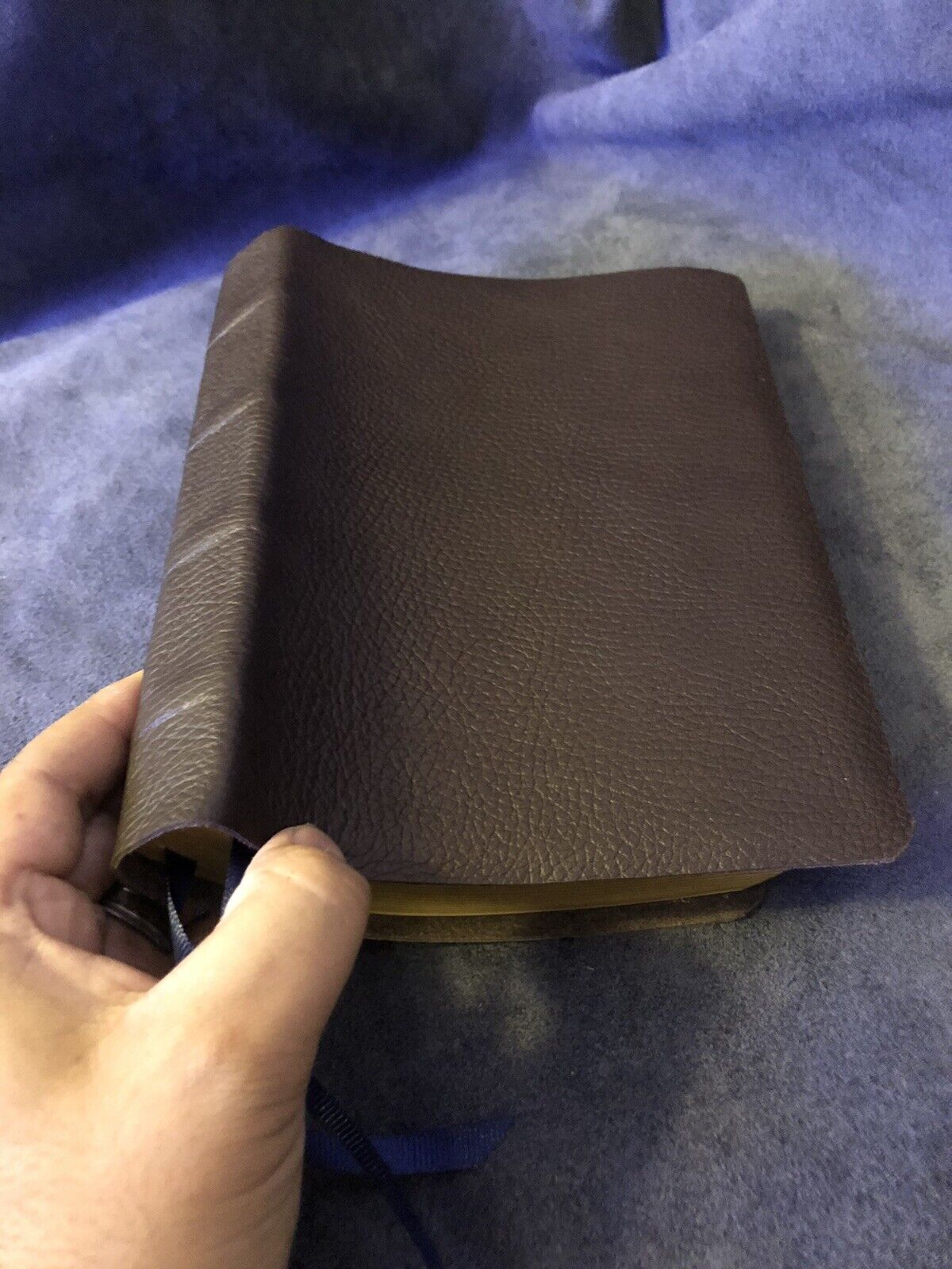 ESV CAMBRIDGE DIADEM reference Bible English Standard Version Cowhide Leather