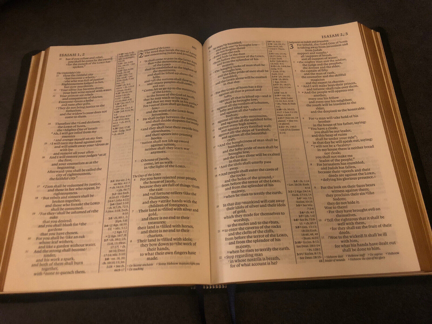 ESV English Standard Version diadem with apocrypha BLACK COWHIDE LEATHER Cam