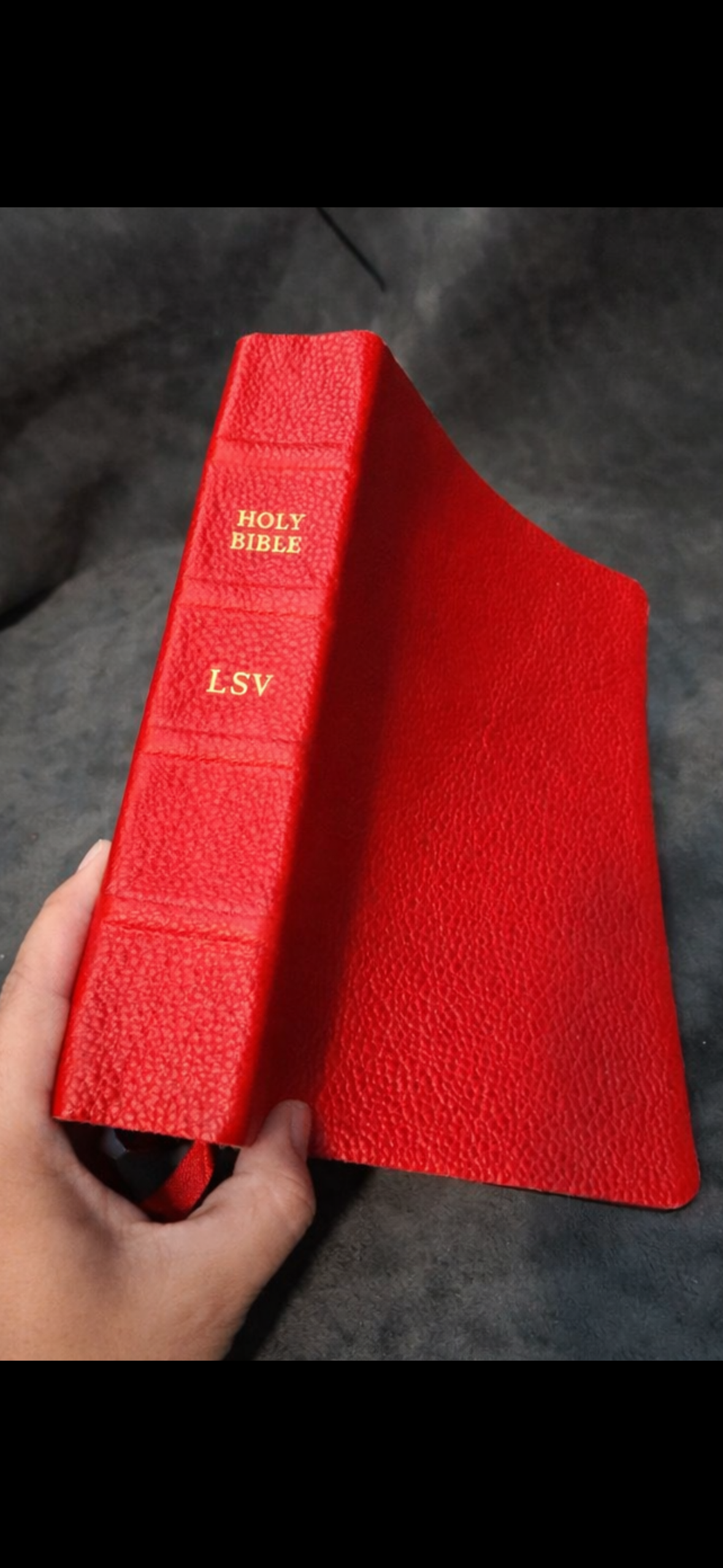 Red genuine leather, literal standard Bible LSV