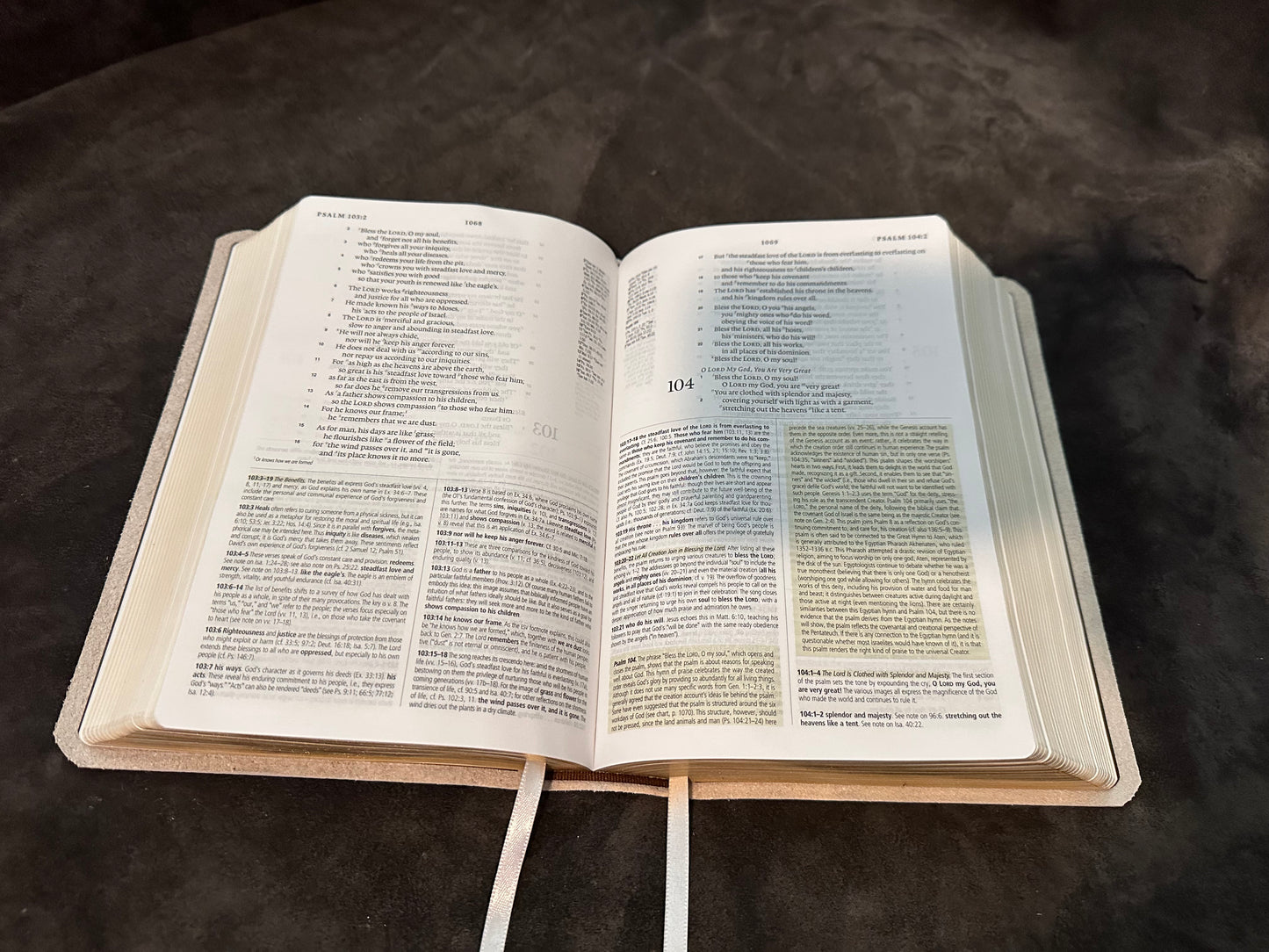 Esv study bible white genuine leather