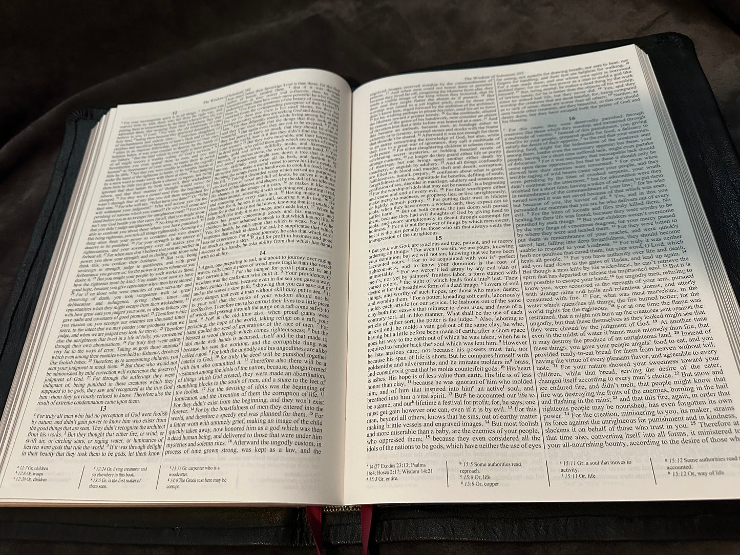 Edge lined Ethiopian Bible genuine leather