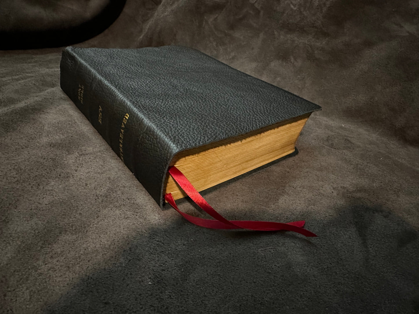 ESV journaling bible interleaved edition English Standard Version Wide Margin