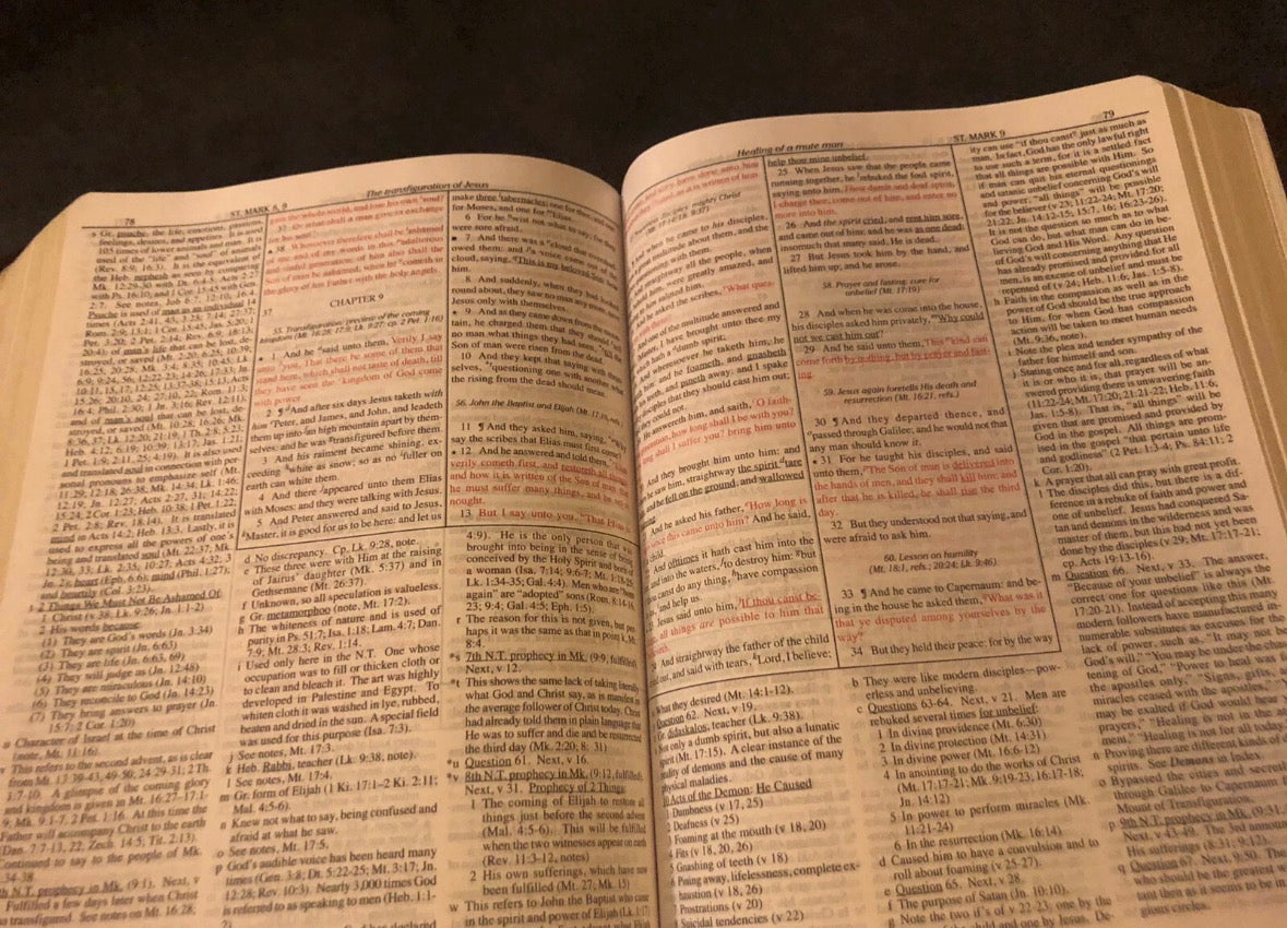 KJV KING JAMES VERSION dake annotated reference Bible Genuine Navy Blue Leather
