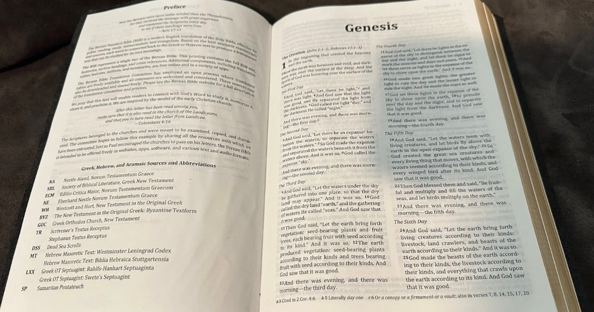 BSB Bible brown genuine leather