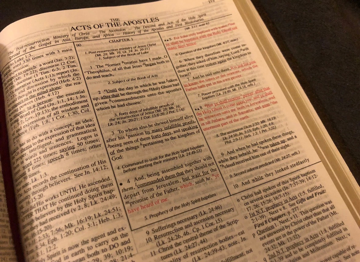 KJV KING JAMES VERSION dake annotated reference Bible Genuine Red Leather