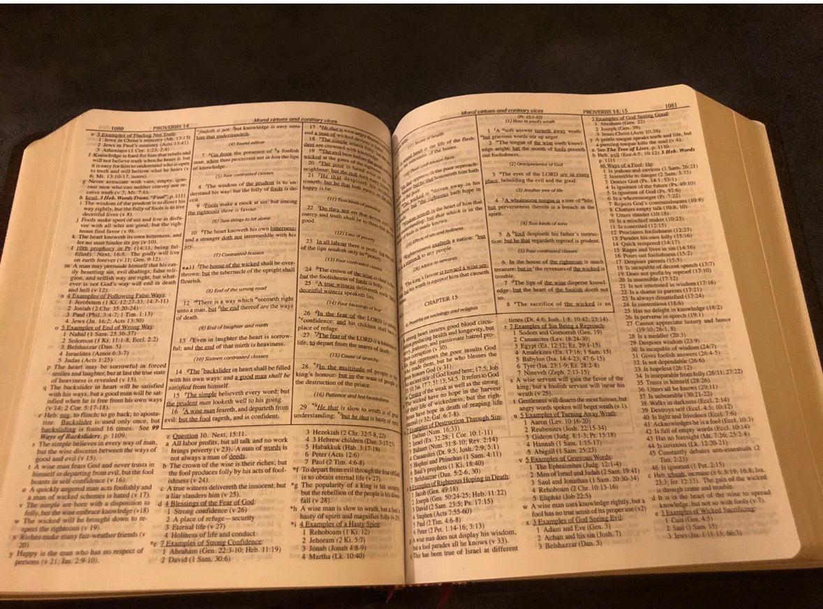 KJV KING JAMES VERSION dake annotated reference Bible Genuine Navy Blue Leather