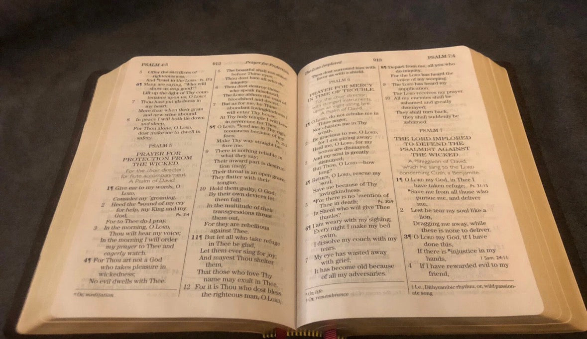 NASB NEW AMERICAN STANDARD giant print Bible 1977 Soft navy Cowhide Leather