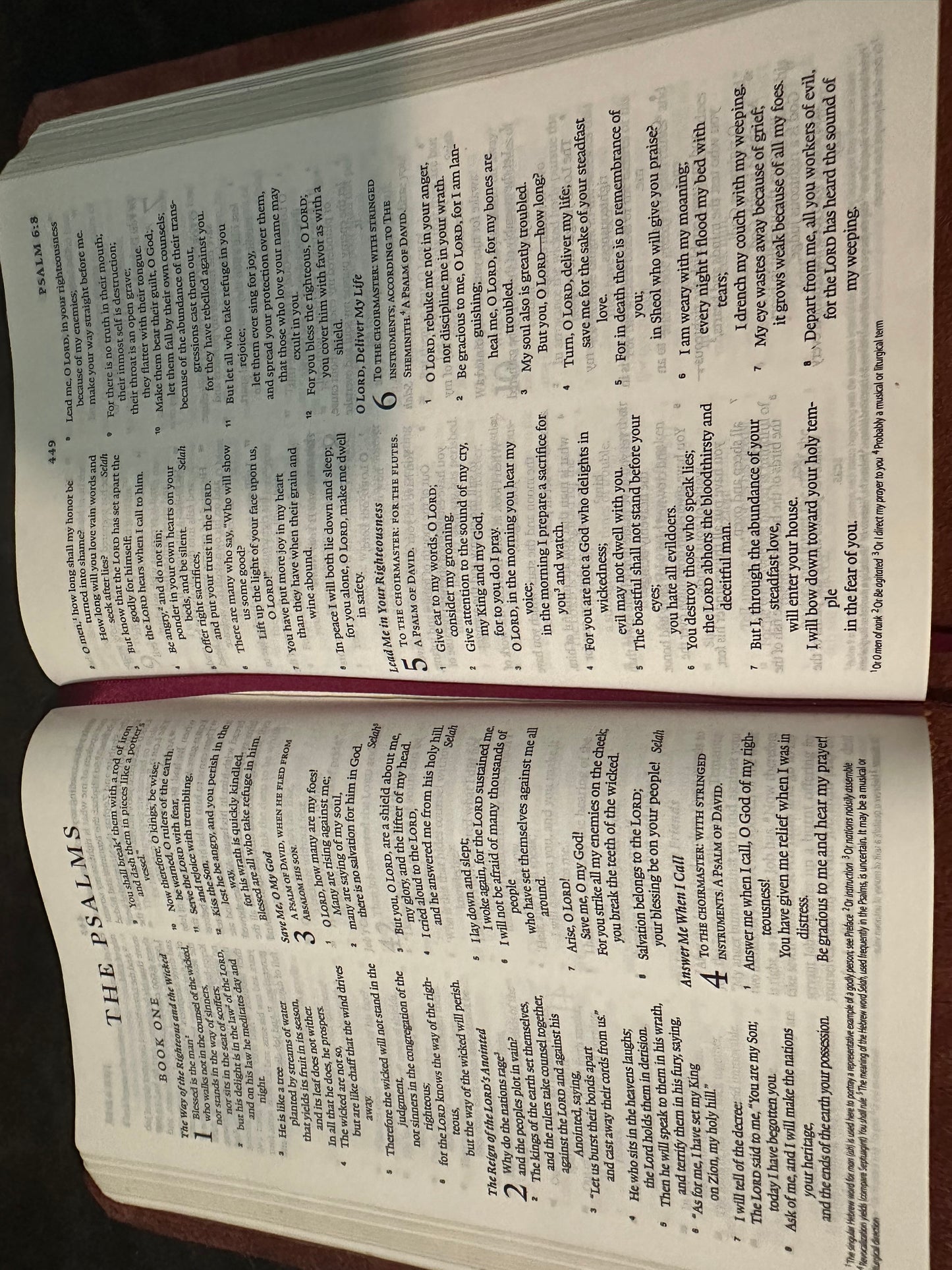 esv thinline bible leather English Standard Version Burgundy Compact