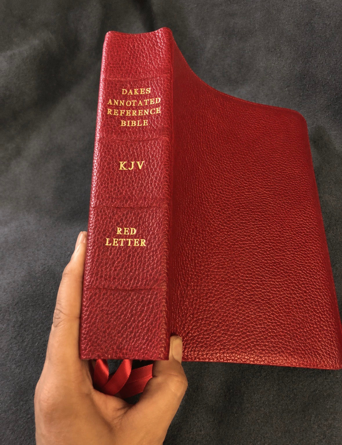 KJV KING JAMES VERSION dake annotated reference Bible Genuine Red Leather