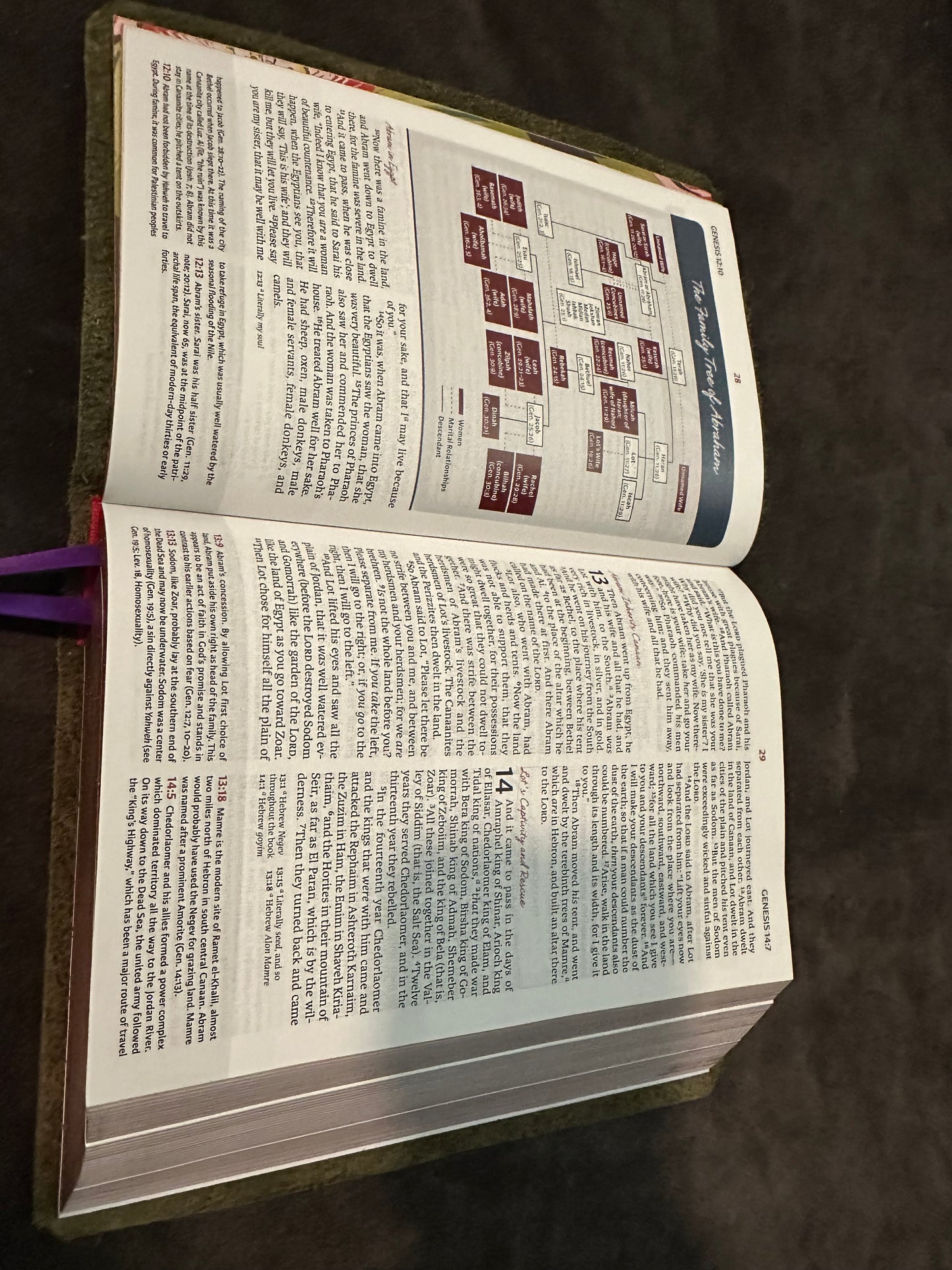 the womans study bible nkjv New King James Green Leather  Womens