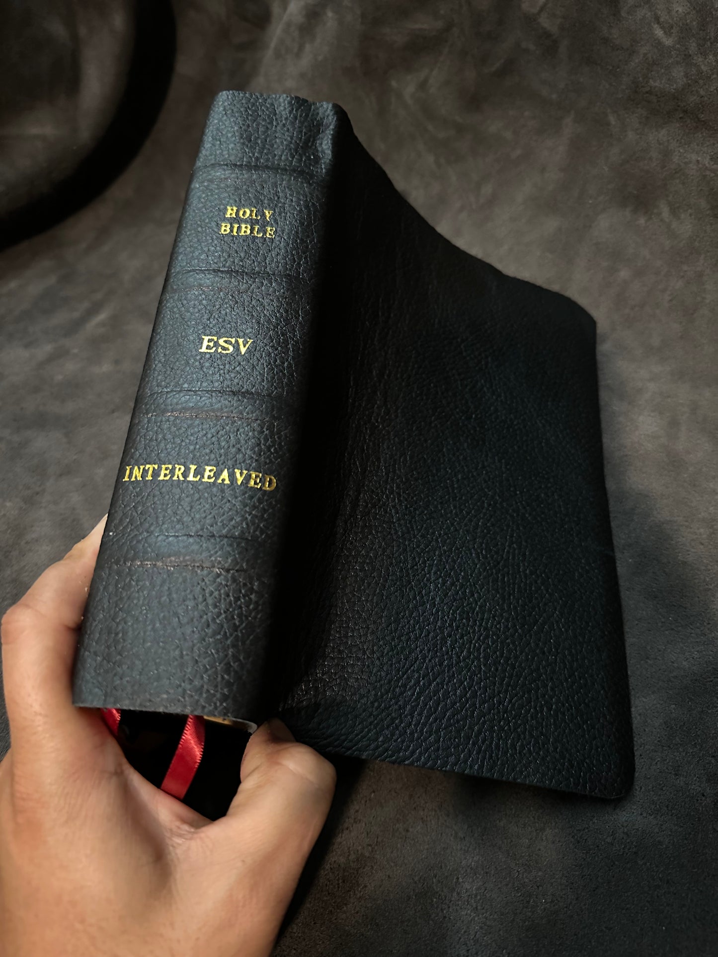 ESV journaling bible interleaved edition English Standard Version Wide Margin