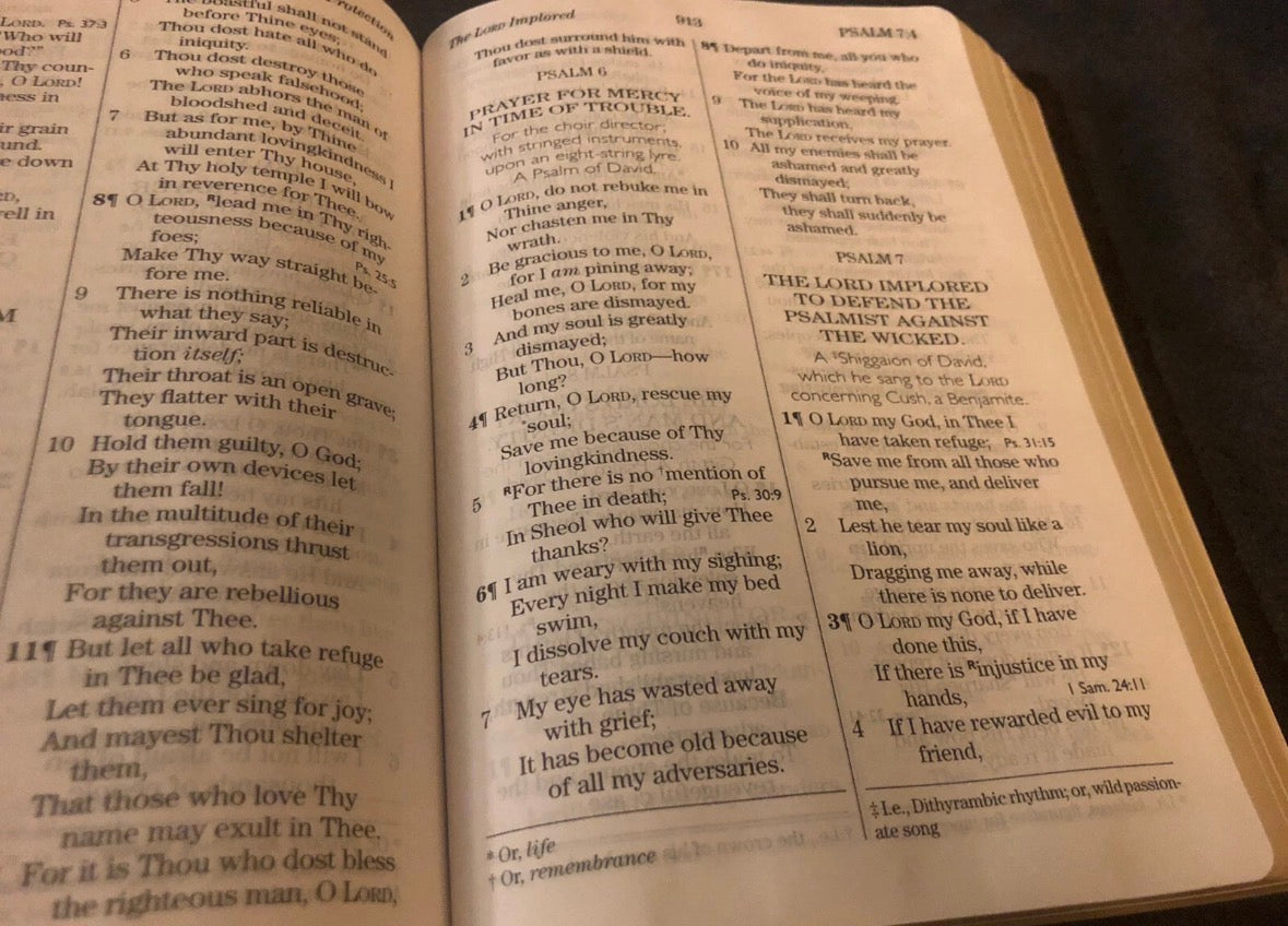 NASB NEW AMERICAN STANDARD giant print Bible 1977 Soft navy Cowhide Leather