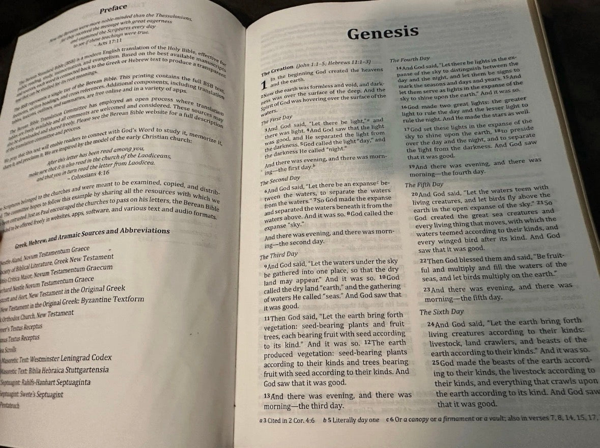 BSB Bible brown genuine leather