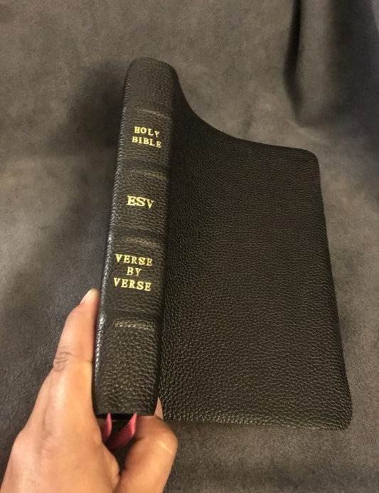 ESV verse By verse reference Bible