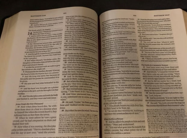 ESV verse By verse reference Bible