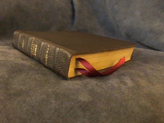 ESV ENGLISH STANDARD VERSION journaling study Bible Soft leather Wide Margin