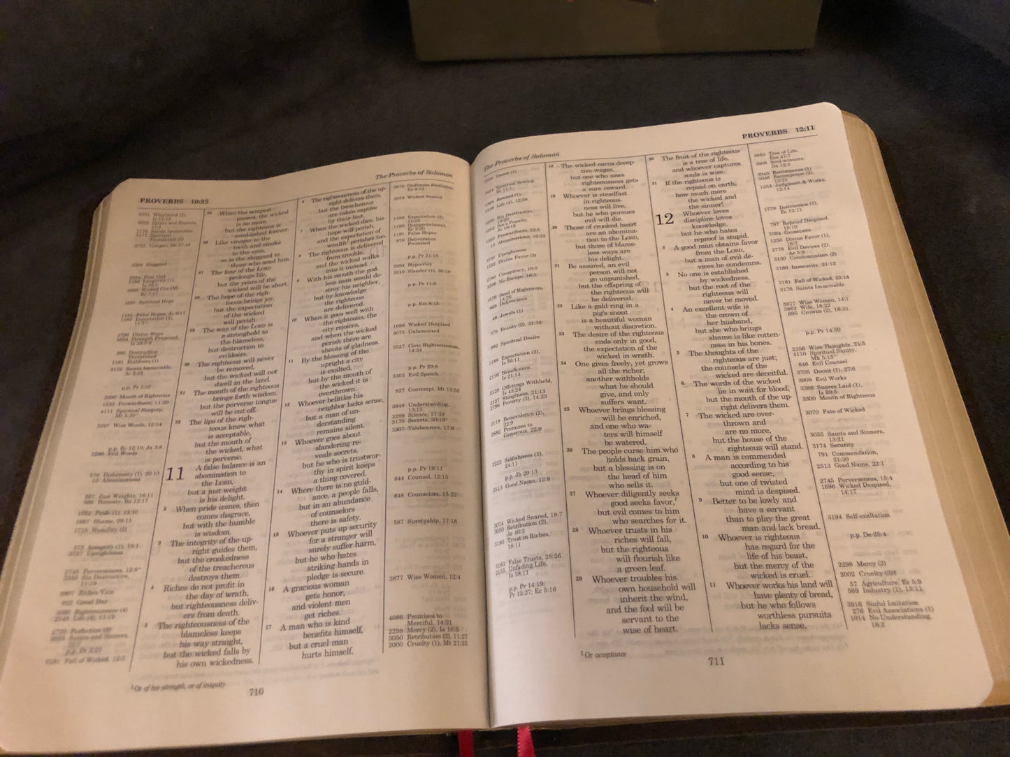 ESV THOMPSON CHAIN REFERENCE BIBLE