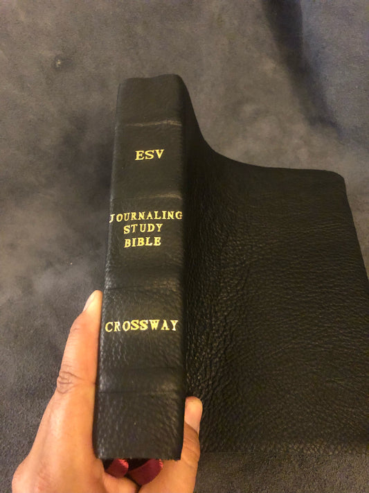 ESV ENGLISH STANDARD VERSION Journaling Study Bible English Standard Version